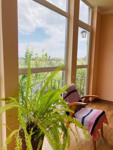 久姆里Гостевой дом с панорамными окнами的一间种植了植物的房间和大窗户