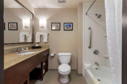 安大略Comfort Suites Ontario Airport Convention Center的浴室配有卫生间、盥洗盆和淋浴。