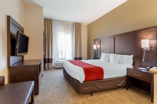 安大略Comfort Suites Ontario Airport Convention Center的配有一张床和一台平面电视的酒店客房