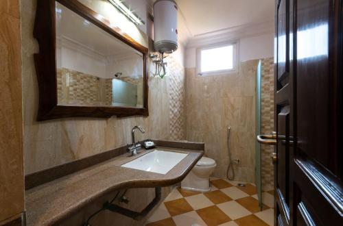 焦特布尔Hanuwant Niwas Jodhpur的一间带水槽、卫生间和镜子的浴室
