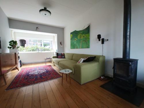 迪温特Sfeervolle woning dichtbij centrum Deventer的客厅设有绿色沙发和壁炉