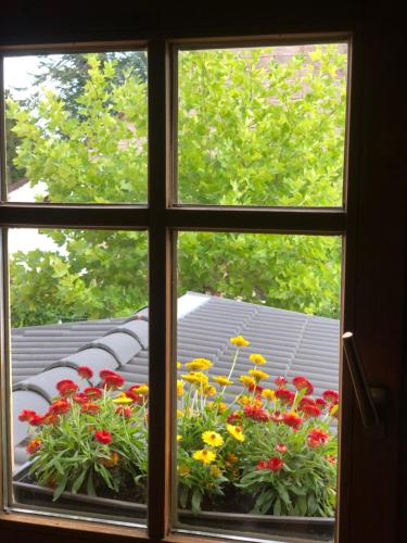 齐恩多夫希尔多夫旅馆的窗户享有鲜花花园的景致