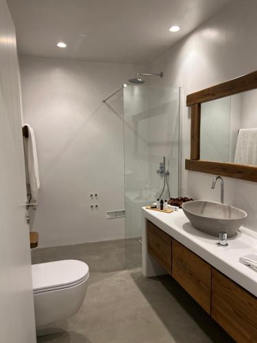 锡基诺斯岛ZETINE SUITES SIKINOs的一间带水槽、卫生间和淋浴的浴室