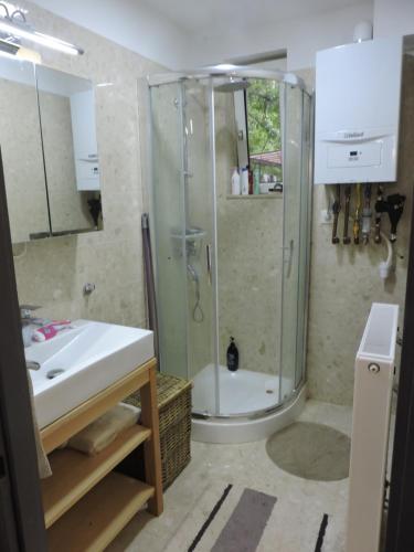 鲍洛通塞派兹德Szepezd OAK villa的带淋浴和盥洗盆的浴室