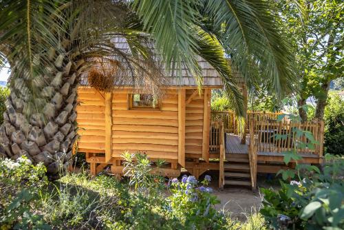 阿斯帕朗Maison Irriberria的棕榈树花园中的小木屋
