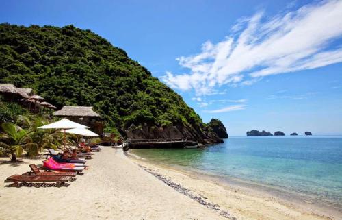 吉婆岛Catba View Hotel的海滩上设有椅子和遮阳伞,还有大海