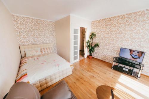 文尼察VIP-flat in the center of Vishenka的一间卧室配有一张床和一台平面电视