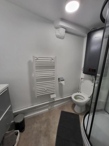 拉苏特兰Superbe appartement T2 centre historique的一间带卫生间的浴室和墙上的电视