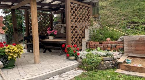 塔尔西Talsi 2 rooms and backyard的一个带木凉棚和一些鲜花的花园