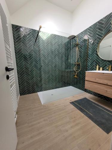 迪克斯梅德vakantiewoning Paradisus的带淋浴、盥洗盆和镜子的浴室