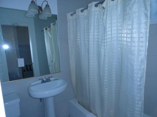 北山旅行汽车旅馆的一间带水槽和淋浴帘的浴室
