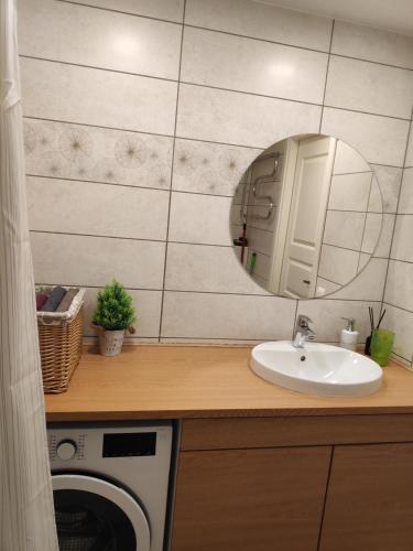 塔林Jakobi Guest Apartment的一间带洗衣机和水槽的浴室