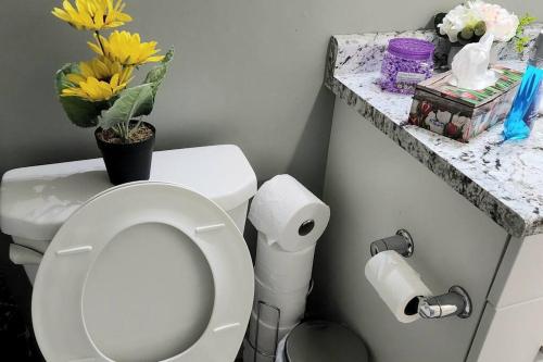 里贾纳QUIET & COZY MODERN SUITE CLOSE TO RCMP的浴室设有卫生间,在柜台上摆放着鲜花。