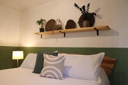 拉戈斯德莫雷诺CASA MADERA的一间卧室配有床和植物架子