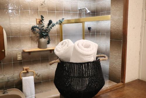 拉戈斯德莫雷诺CASA MADERA的浴室的盥洗盆里装有毛巾篮子