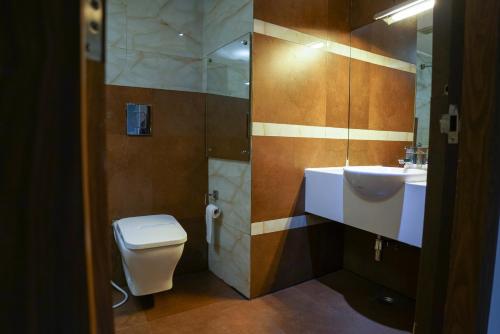 科泽科德Emarald Hotel Calicut的一间带卫生间和水槽的浴室