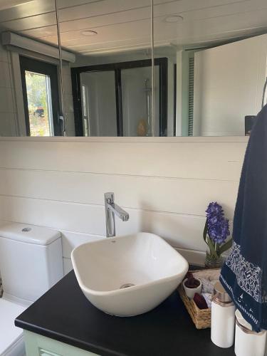 费特希耶Lovin Gocek & Tiny house Mermaid的浴室设有白色水槽和镜子