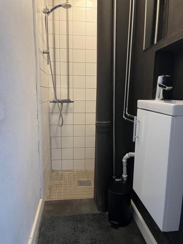 哥本哈根市中心四室公寓的带淋浴、卫生间和盥洗盆的浴室