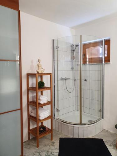 RechnitzFerienhaus Panorama的带淋浴的浴室和玻璃门