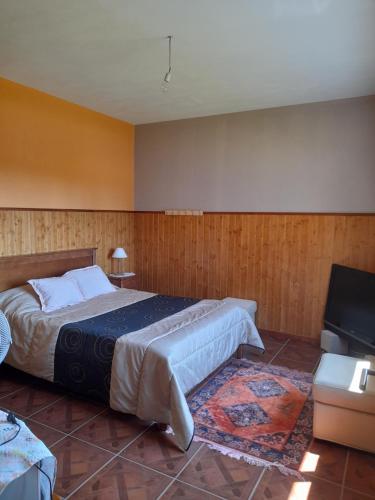 塞洛里库迪巴什图Quinta do silva的一间卧室配有一张大床和一台平面电视