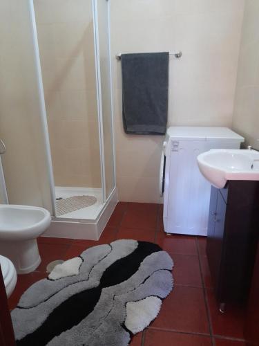 塞洛里库迪巴什图Quinta do silva的带淋浴、水槽和地毯的浴室
