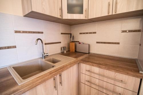 鲍希茨Boka Apartment的一个带木制橱柜和水槽的厨房