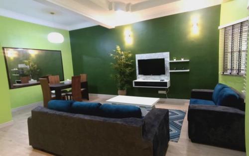 巴生HOMESTAY DR. Z (MUSLIM HOMESTAY)的客厅设有绿色的墙壁、沙发和电视