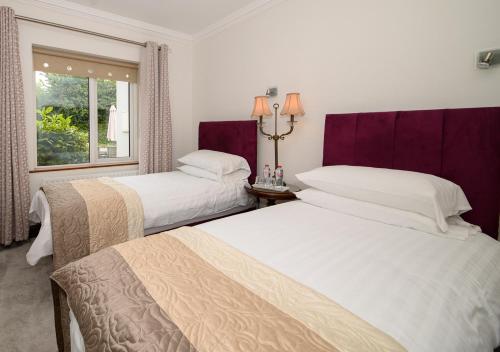 特拉利Ashville House B&B Tralee的配有窗户的酒店客房内的两张床