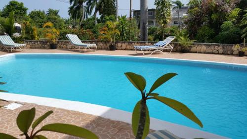 蒙特哥贝Chaudhry Holiday House Montego Bay的一个带椅子的蓝色游泳池和棕榈树