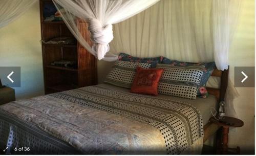 莫雷雷Morere Jungle Lodge的一间卧室配有一张带天蓬和枕头的床