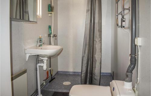 龙讷比Beautiful Home In Ronneby With Kitchen的一间带水槽、卫生间和淋浴的浴室