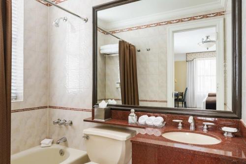 纽约卢塞恩酒店的一间带卫生间、水槽和镜子的浴室