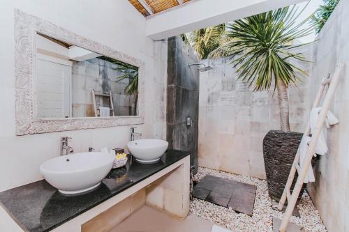 蓝梦岛Villa Escape的一间带水槽、镜子和棕榈树的浴室