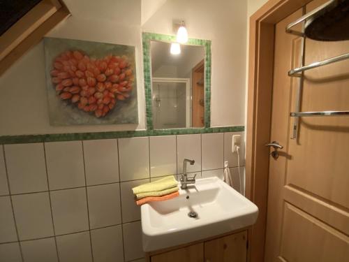 巴特施瓦尔陶Salzoasen Apartment的一间带水槽和镜子的浴室