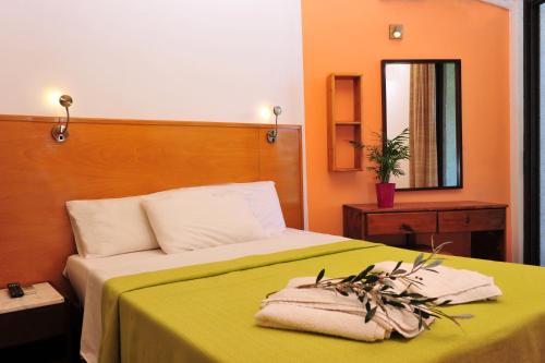 阿利卡纳斯瓦莱州饭店的一间卧室配有一张带绿毯和镜子的床