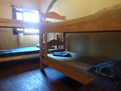 Salto de las RosasTree House Hostel的一间卧室设有两张双层床和一扇窗户。