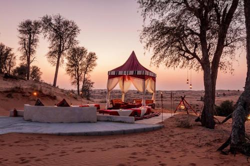 拉斯阿尔卡麦Bedouin Oasis Desert Camp- Ras Al Khaimah的沙漠中的一个凉亭
