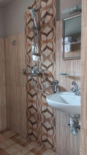 博卡拉布罗森酒店的带淋浴和盥洗盆的浴室