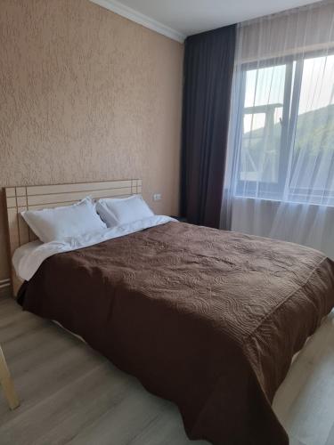 博尔若米Borjomi Plato house的一间卧室设有一张大床和窗户