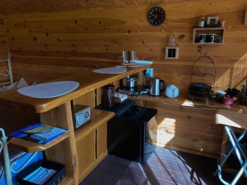 克拉斯拉瓦Starp debesīm un zemi的小木屋内的厨房,配有台面
