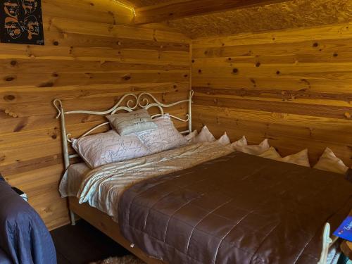 克拉斯拉瓦Starp debesīm un zemi的小木屋内一间卧室,配有一张床