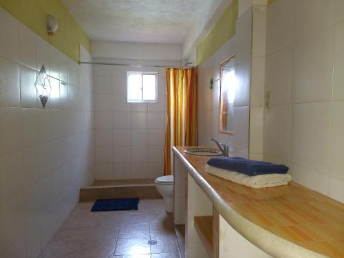 El CardónVilla Cocuyo - Studios & Apartments的一间带水槽、卫生间和淋浴的浴室