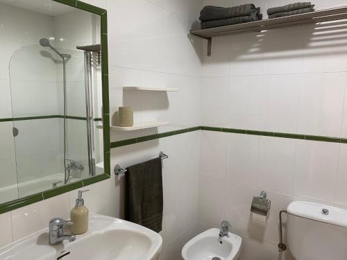 卡内·德·玛尔Luminoso apartamento en Canet de Mar cercano a la playa y a Barcelona的一间带水槽、镜子和卫生间的浴室