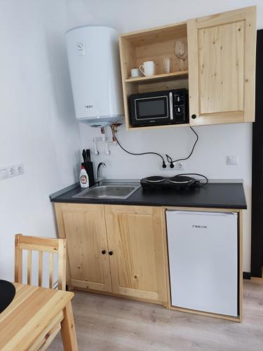 BorzontBirtok Houses- twin no 1 for 2 people的厨房配有水槽和微波炉