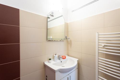 特尔古穆列什Central Apartment Targu Mures的一间带水槽和镜子的浴室
