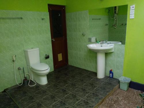 阿努拉德普勒Holiday Home Anuradapura的绿色浴室设有卫生间和水槽
