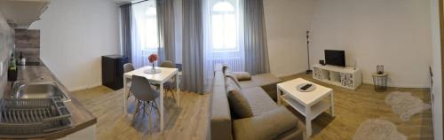 卡罗维发利Sky Thermal Apartment的带沙发和电视的客厅