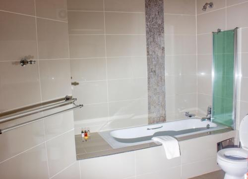 卡萨内Wild View Resort的一间带水槽和卫生间的浴室