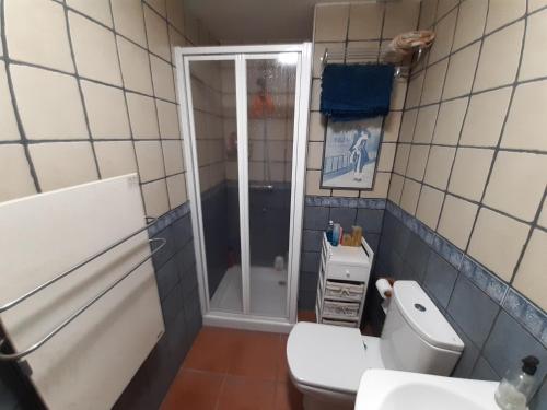 别尔萨Apartamento en Pirineos的一间带卫生间和淋浴的浴室