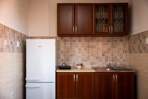 索科矿泉村Beli Ocnjak的厨房配有木制橱柜和白色冰箱。